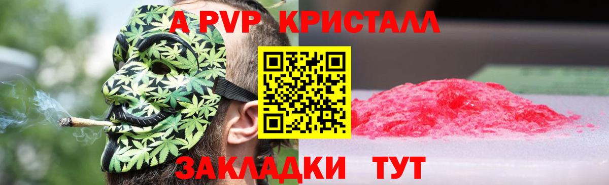 Альфа ПВП СК КРИС Дубна