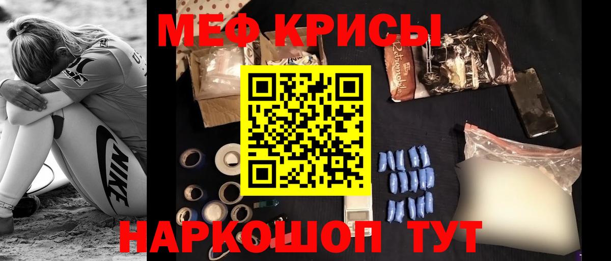 МЕФ  Дубна