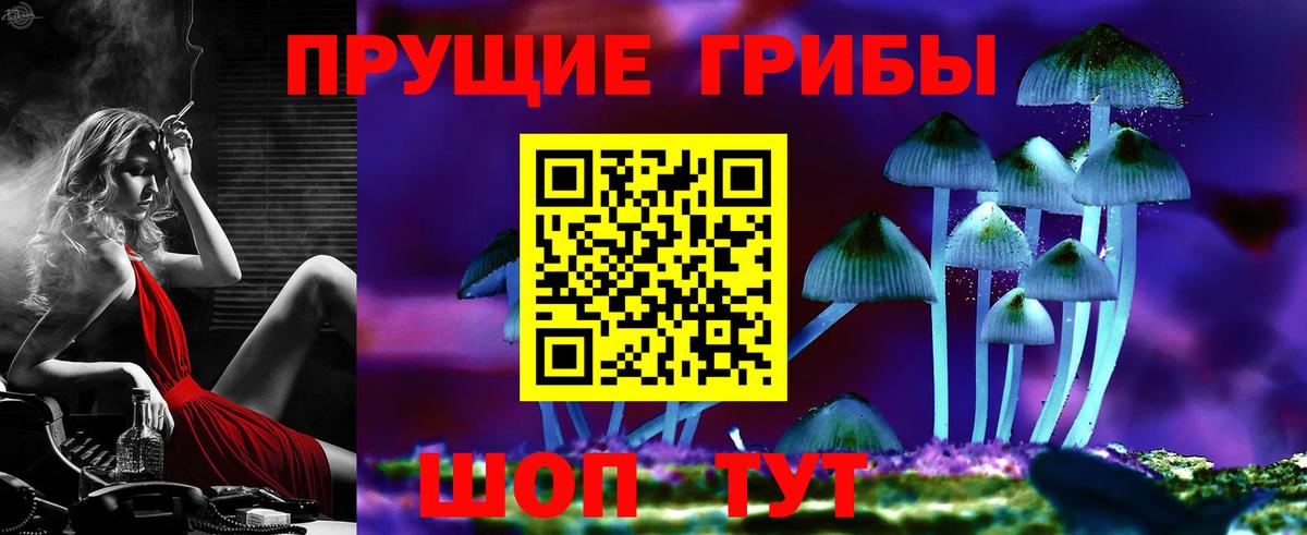 Псилоцибиновые грибы Cubensis  Галлюциногенные грибы прущие грибы  Дубна  Вход с VPN 
